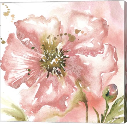 Framed Blush Watercolor Poppy II Print