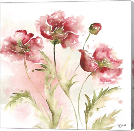 Framed Blush Watercolor Poppy III Print