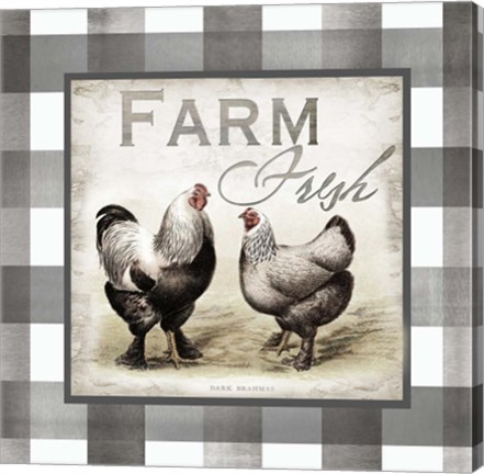 Framed Buffalo Check Farm House Chickens Neutral II Print