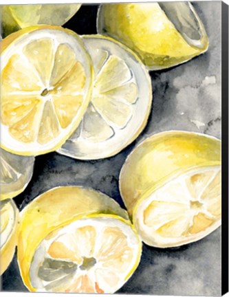 Framed Lemon Slices II Print