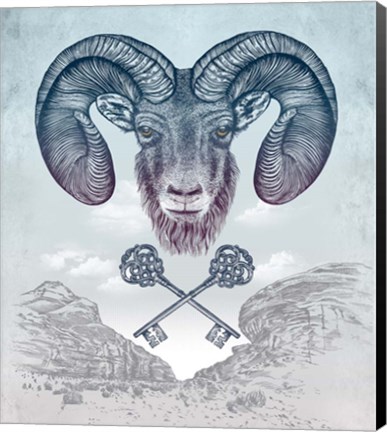 Framed Ram Print