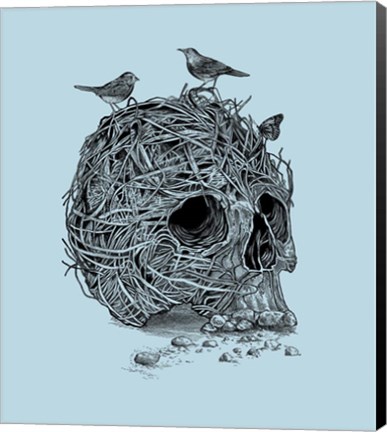 Framed Skull Nest Print