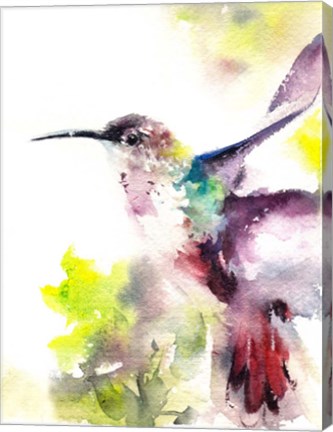 Framed Hummingbird Print