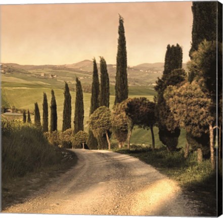 Framed Country Lane, Tuscany Print