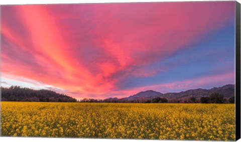 Framed Spring Sunset Napa Valley Print