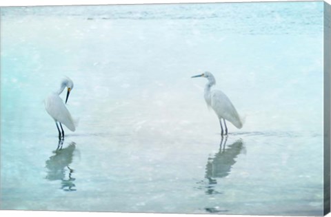 Framed White Cranes Print