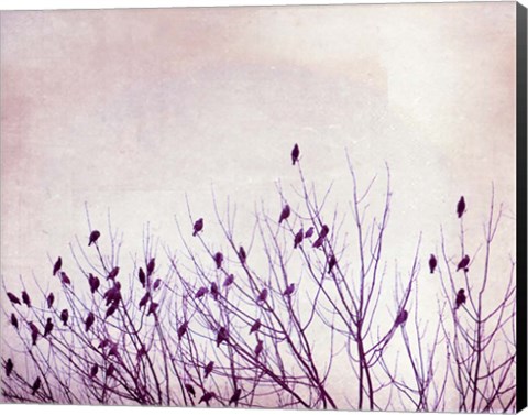 Framed Pause that Refreshes Print