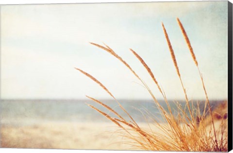 Framed Warm Breeze Print