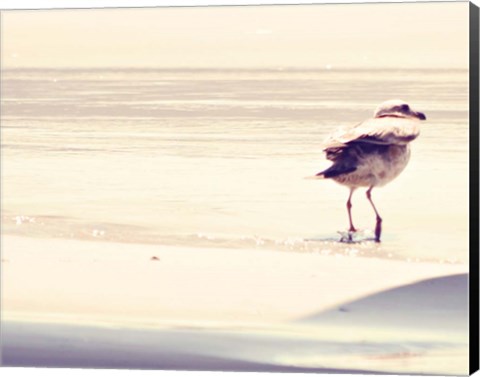 Framed Bird at The Beach Print