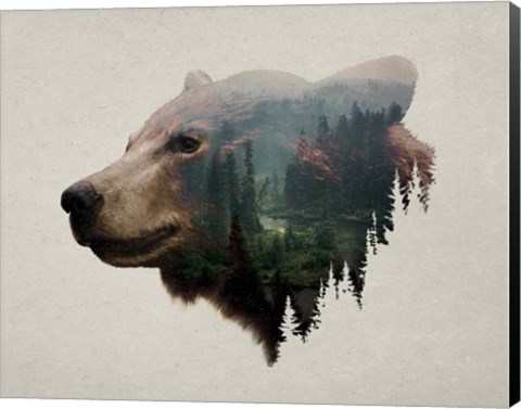 Framed Pacific Northwest Black Bear Print