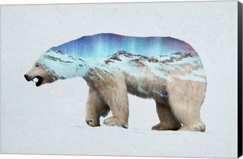 Framed Arctic Polar Bear Print