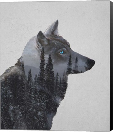 Framed Winter Wolf Print