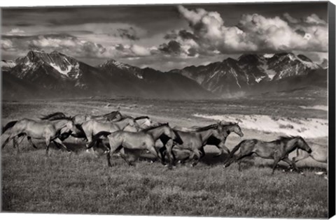 Framed Mountain Range Mavericks Print