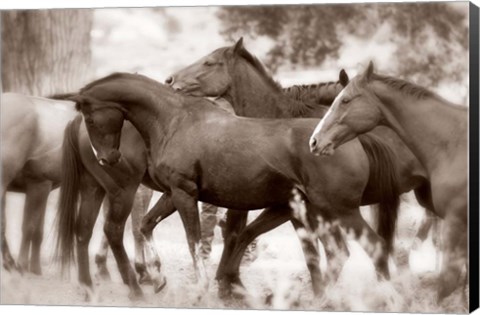 Framed Herd Print