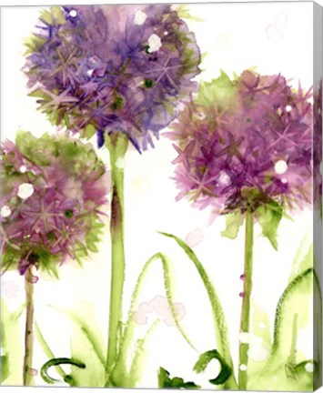 Framed Alliums Print