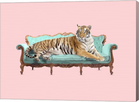 Framed Lazy Tiger Print