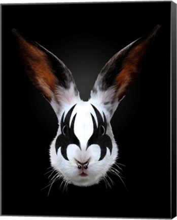 Framed Rabbit Rocks Print