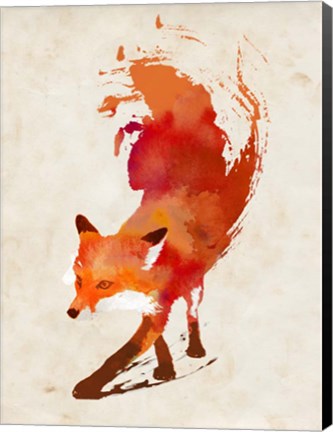 Framed Vulpes Vulpes Print