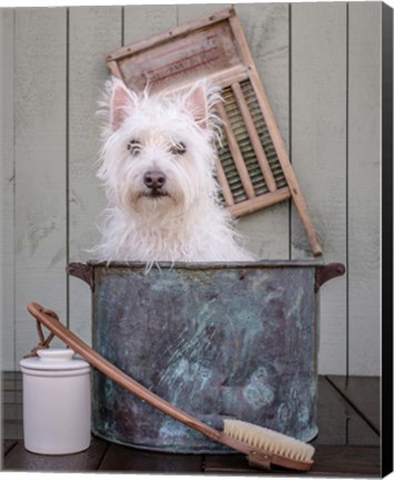 Framed Washing the Dog Print