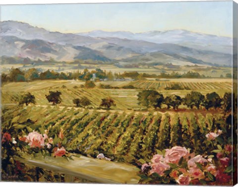 Framed Vineyards to Vaca Mountains Print