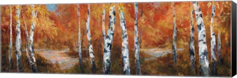 Framed Autumn Birch II Print