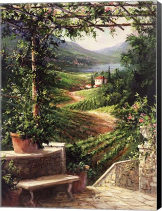 Framed Chianti Vineyard Print