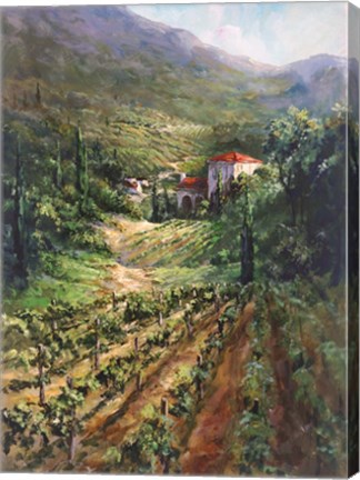 Framed Tuscany Vineyard Print