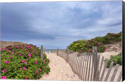 Framed Rose Path Print