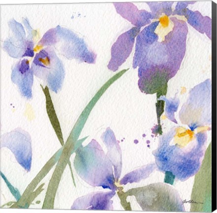 Framed Irises Print