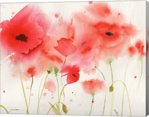 Framed Red Poppies Print