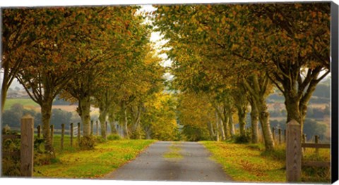 Framed Colors of Autumn Print