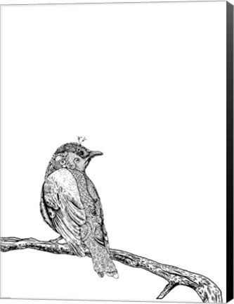 Framed Bird III Print