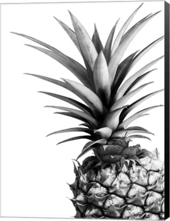 Framed Pineapple (BW) Print