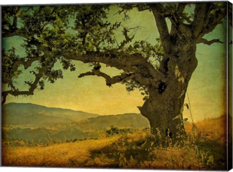 Framed Blue Oak Hilltop Print