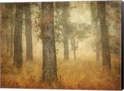 Framed Oak Grove in Fog Print