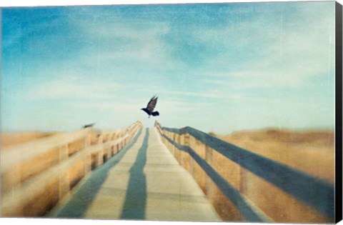 Framed Fly Print