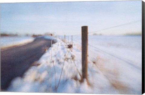 Framed Walking on the Edge of Winter Print