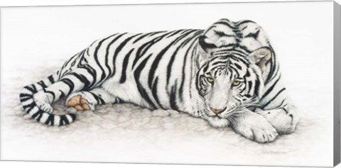 Framed Siberian Tiger Print