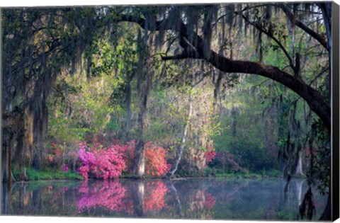 Framed Morning Serenity Print