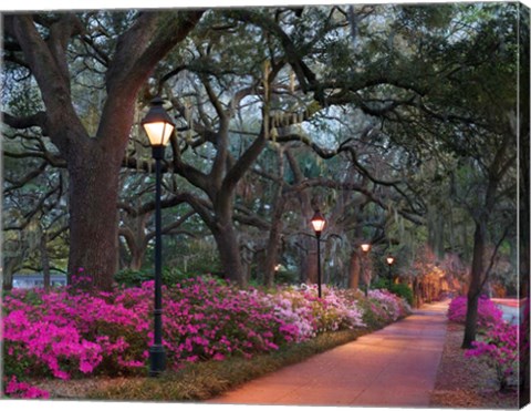 Framed Forsythe Park Print