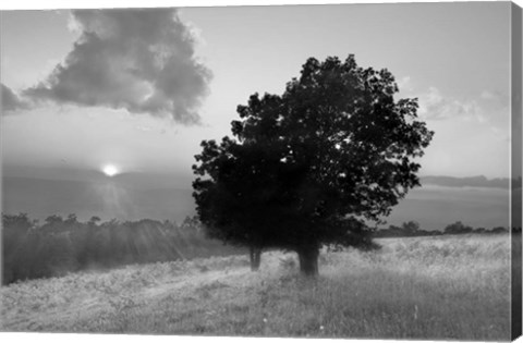 Framed Spitler Knoll Overlook Print