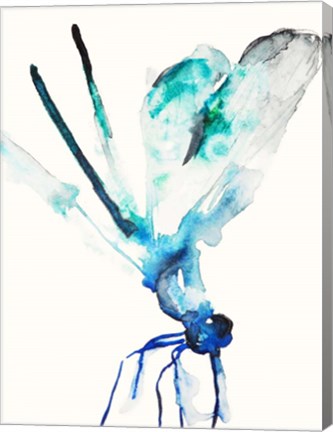 Framed Blue &amp; Green Dragonfly Print