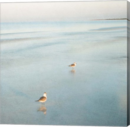 Framed Two Birds on Beach Print