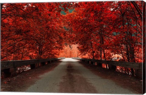 Framed Bridge (Red) Print