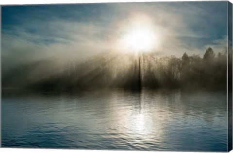 Framed Rising above the Water Print