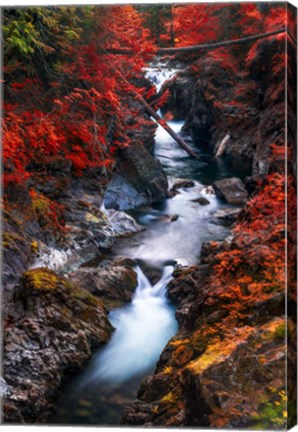 Framed Water in the Fall Print