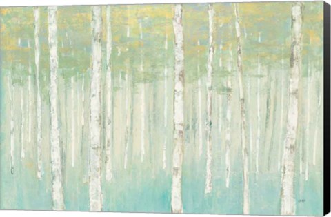 Framed Birches at Sunrise Print