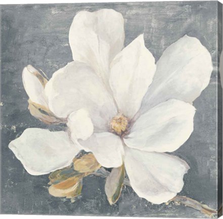 Framed Serene Magnolia Gray Print