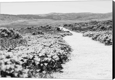 Framed Road Trip VI Crop Print