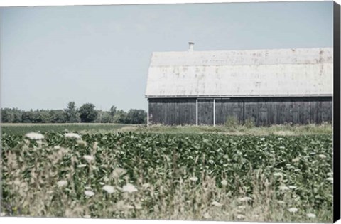 Framed Weathered I Print